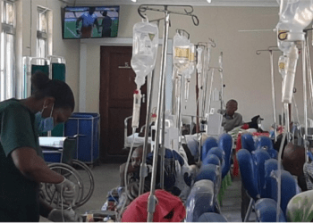 WHO prepares to support Tanzania in Marburg virus response