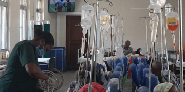WHO prepares to support Tanzania in Marburg virus response