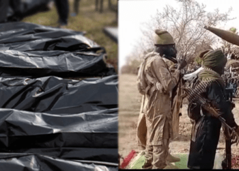 Sub-Saharan Africa accounts for 59% of global terrorism-related deaths: UN