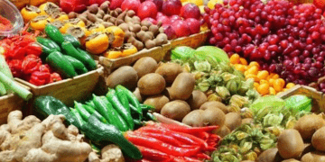 Stakeholders seek full implementation of right to food act