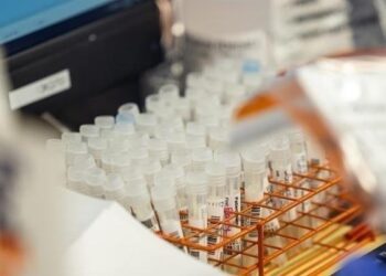 WHO says rising respiratory infections in China within expected winter range