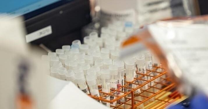 WHO says rising respiratory infections in China within expected winter range