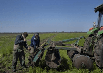 NOSDRA says N150 million given to 300 Rivers farmers for food security