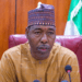 Gov. Zulum pledges full support for 2025 Hajj exercise