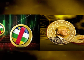 Central African Republic debuts meme coin ‘experiment’