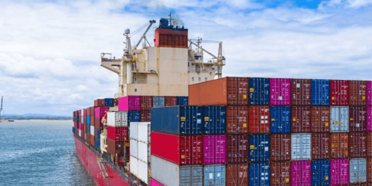 Customs’ 4% FOB levy will worsen hardship, increase inflation, experts warn