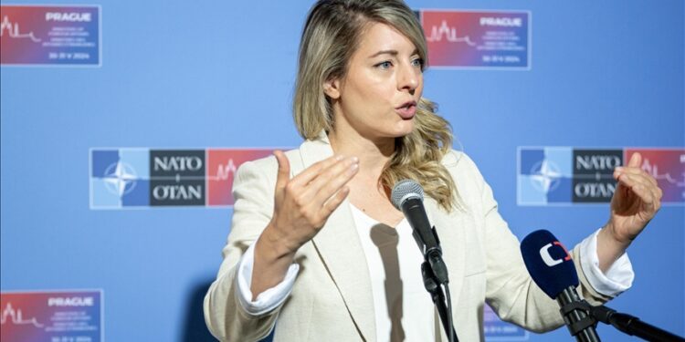 Canada pledges to strengthen engagement with Africa as South Africa prepares to host G20 top diplomats