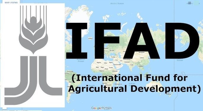 IFAD graduates 25 rice, cassava farm machine fabricators in Taraba