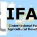 IFAD graduates 25 rice, cassava farm machine fabricators in Taraba