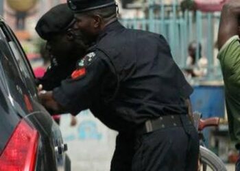 Mixed reactions dog police’s enforcement of vehicle insurance policy