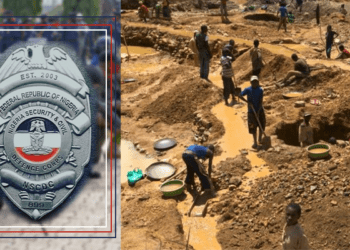 NSCDC nabs 29 suspects in Bauchi over alleged illegal mining, vandalism