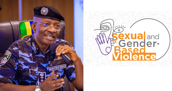 IG orders extension of gender-based violence desks to divisional headquarters nationwide