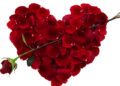 Valentine’s Day celebration should be banned in Nigeria, says Lagos bishop