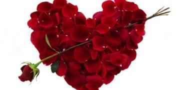 Valentine’s Day celebration should be banned in Nigeria, says Lagos bishop
