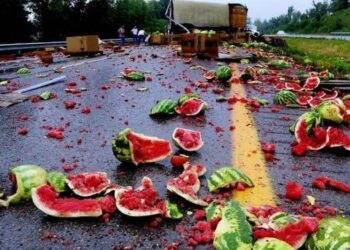N10 million worth of watermelon destroyed in Jigawa lone accident