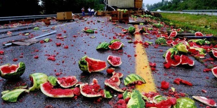 N10 million worth of watermelon destroyed in Jigawa lone accident