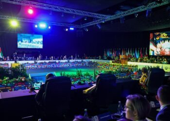 World must listen to Africa, take its concerns seriously, China tells G20