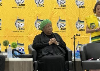 Global South needs stronger voice in UN, says former South African minister