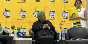 Global South needs stronger voice in UN, says former South African minister