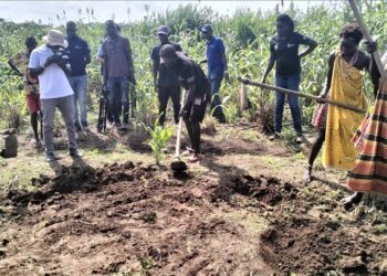 ‘Nothing to eat’: South Sudan farmers suffer as climate shocks devour crops