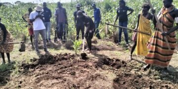 ‘Nothing to eat’: South Sudan farmers suffer as climate shocks devour crops