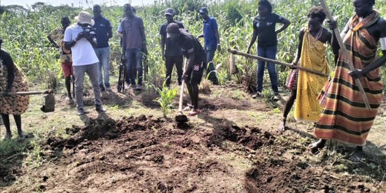 ‘Nothing to eat’: South Sudan farmers suffer as climate shocks devour crops