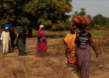 Türkiye has very strong relations with Gambia: Gambian information minister