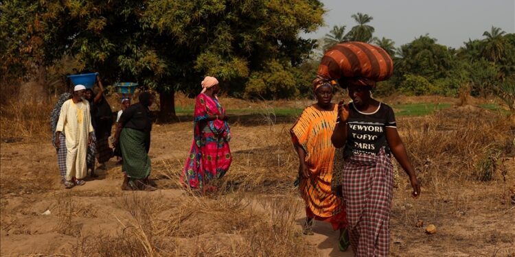 Türkiye has very strong relations with Gambia: Gambian information minister