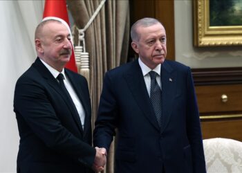Turkish president discusses bilateral ties, regional issues with Azerbaijani, Kazakh counterparts