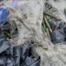 Death toll from violence in DR Congo’s Goma city climbs to 900: WHO