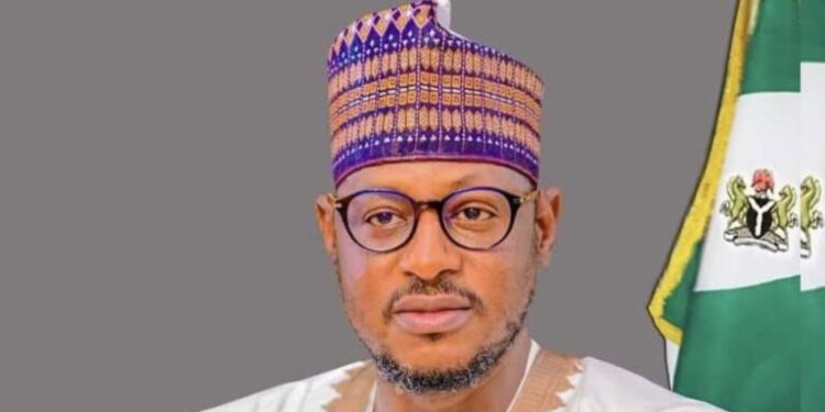 Katsina govt procured N36 billion fertiliser for farmers: Deputy Governor