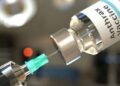 Abia govt begins statewide anthrax vaccination campaign