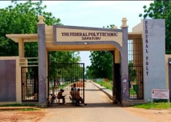 Damaturu poly rector orders immediate return of contractors to sites