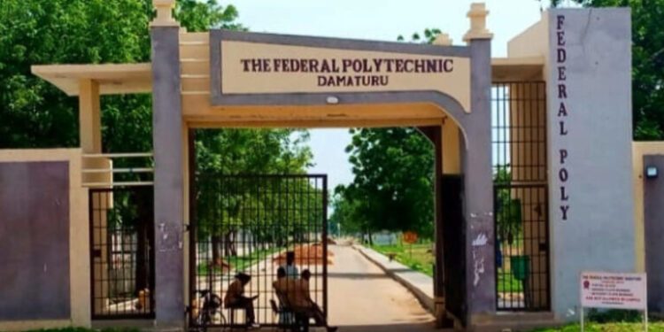 Damaturu poly rector orders immediate return of contractors to sites