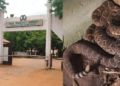 Kebbi governor’s special adviser faces expulsion over Government House snake: APC