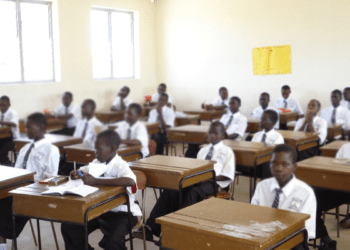 Private schools’ foreign curricula harmful to Nigerian students: Prof Uzoechi