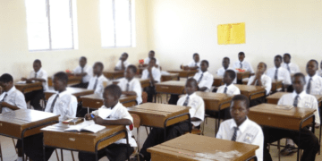 Private schools’ foreign curricula harmful to Nigerian students: Prof Uzoechi