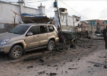 Somali forces kill 82 al-Shabaab terrorists in airstrikes