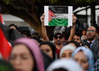 Tunisian student arrested for storming pitch, waving Palestinian flag during World Cup qualifier
