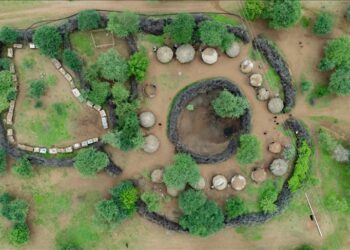 Carbon credit concerns: Tanzania’s Maasai fear ‘threat to existence’