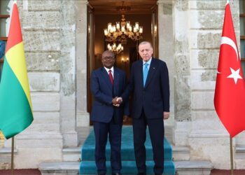 Turkish president, Guinea-Bissauan counterpart discuss bilateral ties during Istanbul meeting