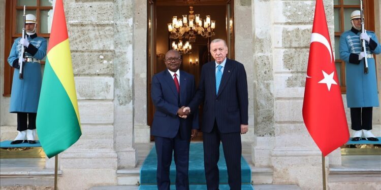 Turkish president, Guinea-Bissauan counterpart discuss bilateral ties during Istanbul meeting