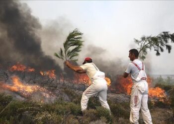 Climate change intensifies threat of urban fires worldwide: Study