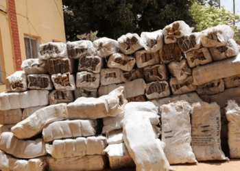 NDLEA intercepts 128 parcels of Canadian Loud at Lagos seaport