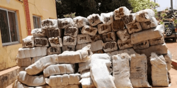 NDLEA intercepts 128 parcels of Canadian Loud at Lagos seaport
