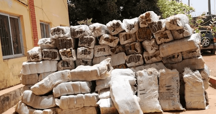 NDLEA intercepts 128 parcels of Canadian Loud at Lagos seaport
