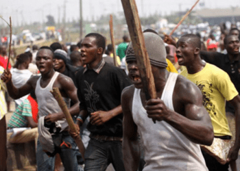 Kano task force committee arrests 53 suspected thugs, drug dealers