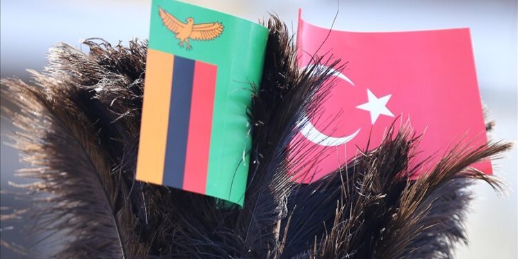 Zambia lauds Türkiye’s support for education sector development