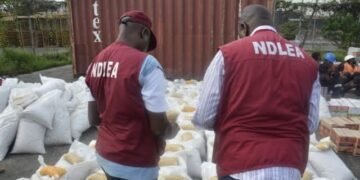 NDLEA recovers 563kg skunk in Bayelsa warehouse, arrests four