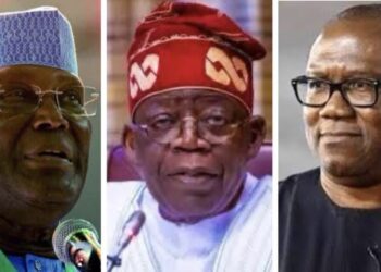 Disgruntled Atiku, opposition leaders lying; Tinubu loves multiparty democracy: Presidency